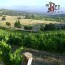 ElReyView