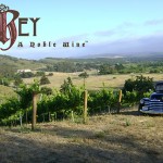 5 El Rey Wine
